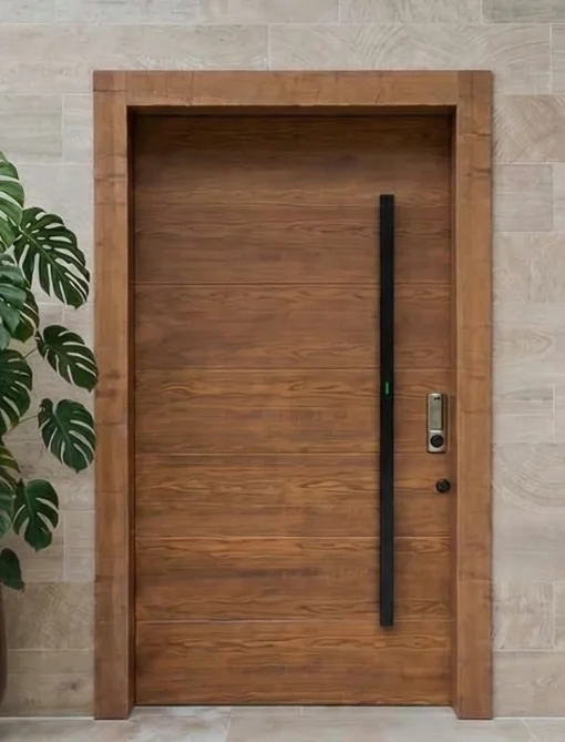 PUERTA DE ENTRADA PIVOTANTE